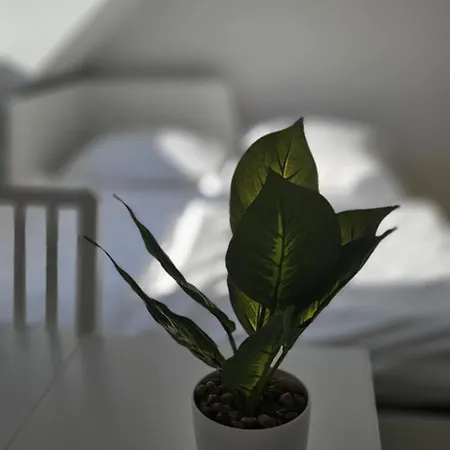 Apartamento And Trade Fair Near Flat *