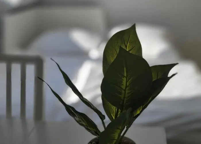 Apartman And Trade Fair Near Flat *